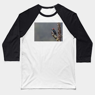 Acorn Woodpecker - Costa Rica Baseball T-Shirt